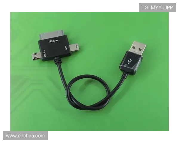 欧博代理官网入口网址查询步骤详解，轻松掌握官方入口的最新信息