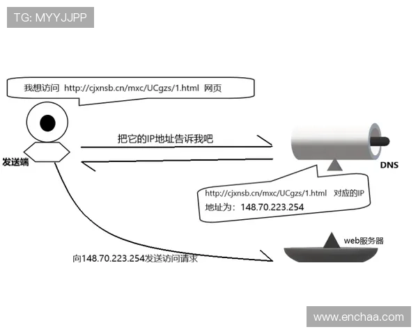 dg视讯厅官网专业的技术团队，持续优化平台性能提升用户体验